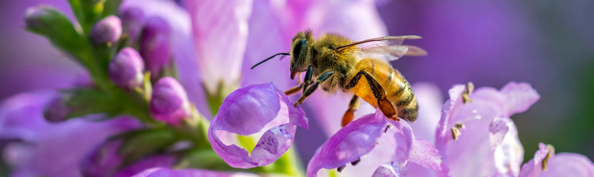 Blog-Lee-Anne-Hancock